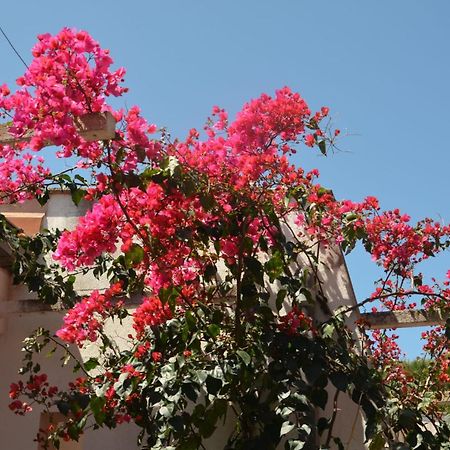 Villa Teti - Sicilia Campofelice Di Roccella Buitenkant foto