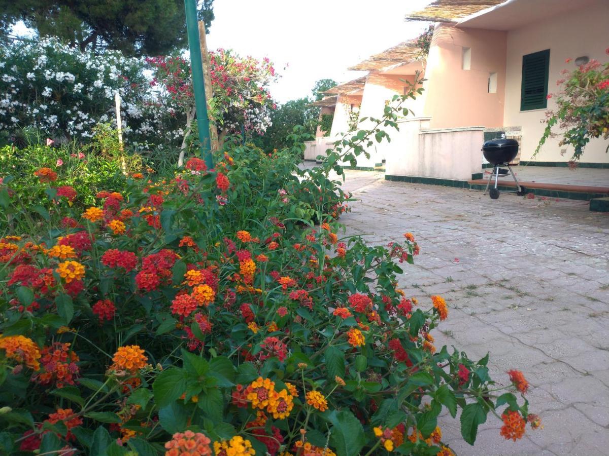 Villa Teti - Sicilia Campofelice Di Roccella Buitenkant foto