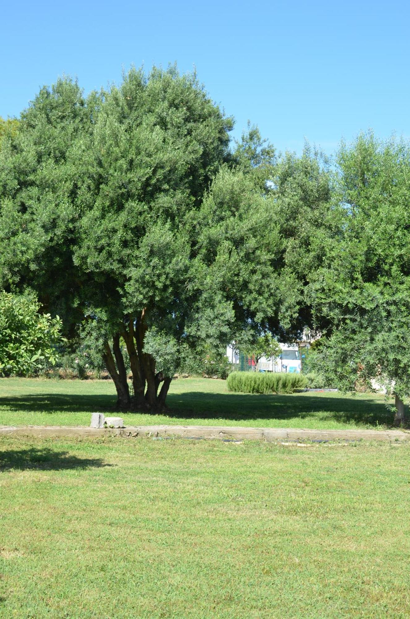 Villa Teti - Sicilia Campofelice Di Roccella Buitenkant foto